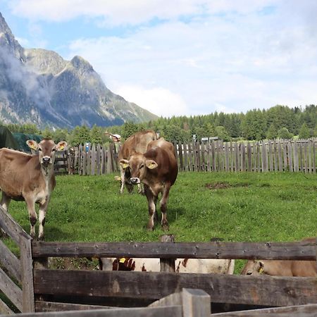 Huberhof Villa San Giuseppe in Anterselva Dış mekan fotoğraf